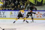 Photo hockey match Rouen - Amiens  le 26/01/2016
