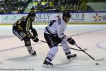 Photo hockey match Rouen - Amiens  le 09/12/2016