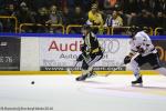 Photo hockey match Rouen - Amiens  le 09/12/2016