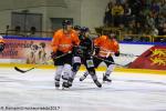 Photo hockey match Rouen - Amiens  le 19/08/2017