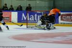 Photo hockey match Rouen - Amiens  le 19/08/2017
