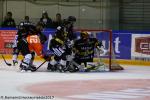 Photo hockey match Rouen - Amiens  le 19/08/2017