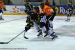 Photo hockey match Rouen - Amiens  le 19/08/2017