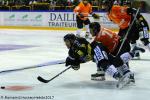 Photo hockey match Rouen - Amiens  le 19/08/2017
