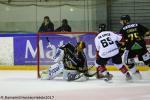 Photo hockey match Rouen - Amiens  le 20/10/2017
