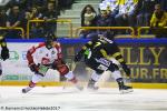 Photo hockey match Rouen - Amiens  le 24/10/2017