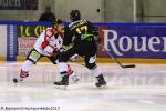 Photo hockey match Rouen - Amiens  le 24/10/2017