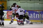 Photo hockey match Rouen - Amiens  le 05/12/2017