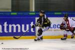 Photo hockey match Rouen - Amiens  le 05/12/2017