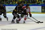 Photo hockey match Rouen - Amiens  le 16/03/2018