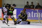 Photo hockey match Rouen - Amiens  le 21/10/2018