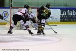 Photo hockey match Rouen - Amiens  le 21/10/2018