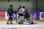 Photo hockey match Rouen - Amiens  le 21/10/2018
