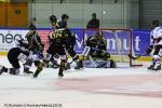 Photo hockey match Rouen - Amiens  le 21/10/2018