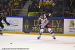 Photo hockey match Rouen - Amiens  le 18/01/2019