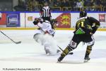 Photo hockey match Rouen - Amiens  le 18/01/2019