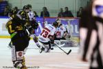 Photo hockey match Rouen - Amiens  le 18/01/2019