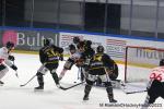 Photo hockey match Rouen - Amiens  le 08/03/2023