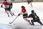 Photo hockey match Rouen - Amiens  le 09/03/2025
