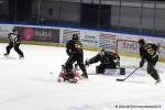 Photo hockey match Rouen - Amiens  le 09/03/2025