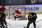 Photo hockey match Rouen - Amiens  le 09/03/2025