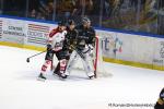 Photo hockey match Rouen - Amiens  le 10/11/2025