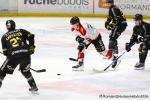 Photo hockey match Rouen - Amiens  le 04/01/2026