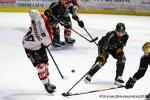 Photo hockey match Rouen - Amiens  le 04/01/2026