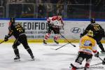 Photo hockey match Rouen - Amiens  le 13/03/2026