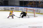 Photo hockey match Rouen - Amiens  le 14/03/2026