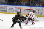 Photo hockey match Rouen - Amiens  le 21/03/2026