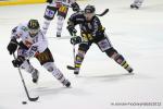 Photo hockey match Rouen - Amiens  le 13/03/2012
