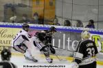 Photo hockey match Rouen - Angers  le 11/02/2014