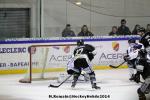 Photo hockey match Rouen - Angers  le 11/02/2014