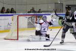 Photo hockey match Rouen - Angers  le 11/03/2014