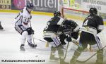 Photo hockey match Rouen - Angers  le 11/03/2014