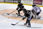 Photo hockey match Rouen - Angers  le 18/03/2014
