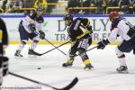 Photo hockey match Rouen - Angers  le 16/11/2014