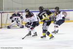 Photo hockey match Rouen - Angers  le 16/11/2014
