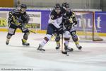 Photo hockey match Rouen - Angers  le 16/11/2014