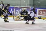 Photo hockey match Rouen - Angers  le 16/11/2014