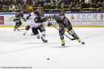 Photo hockey match Rouen - Angers  le 16/11/2014