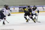 Photo hockey match Rouen - Angers  le 16/11/2014