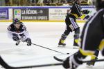 Photo hockey match Rouen - Angers  le 16/11/2014