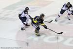 Photo hockey match Rouen - Angers  le 16/11/2014
