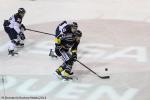 Photo hockey match Rouen - Angers  le 16/11/2014