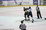 Photo hockey match Rouen - Angers  le 16/11/2014