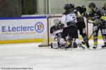 Photo hockey match Rouen - Angers  le 16/11/2014