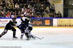 Photo hockey match Rouen - Angers  le 25/03/2016