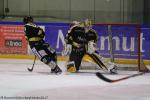 Photo hockey match Rouen - Angers  le 17/01/2017